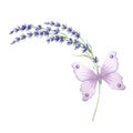Sprig of lavender flowers with violet butterfly, watercolor illustration. Isolated hand drawn Provence floral bouquet Royalty Free Stock Photo