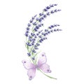 Sprig of lavender flowers with violet butterfly, watercolor illustration. Isolated hand drawn provence floral bouquet Royalty Free Stock Photo