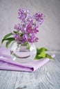 Sprig of lilac still life