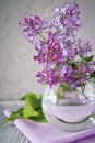 Sprig of lilac still life