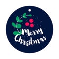 A sprig of mistletoe and berries with text on dark background. Flat style. Vector Royalty Free Stock Photo