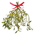 Sprig of Mistletoe isolated Royalty Free Stock Photo
