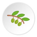 Sprig of olive icon, cartoon style