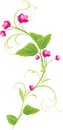 Sprig with pink flowers