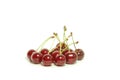 Sprig with red cherries 3 Royalty Free Stock Photo