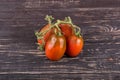 Sprig of red tomatoes Royalty Free Stock Photo