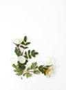 Sprig of tea light rose with green leaves on white Royalty Free Stock Photo