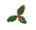 A sprig, three leaves, of green holly and red berries for Christmas decoration