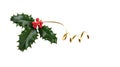 A sprig, three leaves, of green holly and red berries and gold ribbon Royalty Free Stock Photo