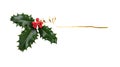 A sprig, three leaves, of green holly and red berries and gold ribbon