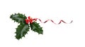 A sprig, three leaves, of green holly and red berries and red ribbon