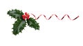 A sprig, three leaves, of green holly and red berries and red ribbon
