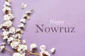 Sprigs of the apricot tree with flowers on pink background Text Happy Nowruz Holiday Concept of spring came Top view Flat lay