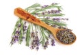 Sprigs of fresh lavender and dried in spoon on white background Royalty Free Stock Photo