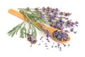 Sprigs of fresh lavender and dried in spoon on white background Royalty Free Stock Photo