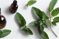 Sprigs with leaves of fresh peppermint and glass bottles with mint oil on a white background