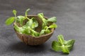 Sprigs of mint in coconut shell