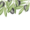 Sprigs with olives watercolor background