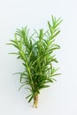 Sprigs of rosemary, isolated on a white background, fresh organic herbs, spices. Royalty Free Stock Photo