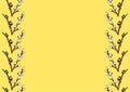 Sprigs of willow seals isolated on yellow horizontal easter background with copy space