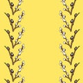 Sprigs of willow seals isolated on yellow square easter background with copy space. Place for text