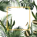 Tropical frame with exotic plants and palms monstera leaves.
