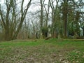 Spring on abandoned and ransacked Jewish Cemetery