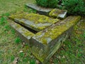 Spring on abandoned and ransacked Jewish Cemetery