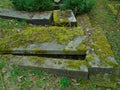 Spring on abandoned and ransacked Jewish Cemetery