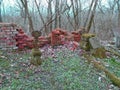 Spring on abandoned and ransacked Jewish Cemetery