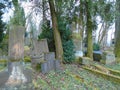 Spring on abandoned and ransacked Jewish Cemetery