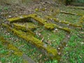 Spring on abandoned and ransacked Jewish Cemetery