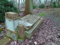 Spring on abandoned and ransacked Jewish Cemetery