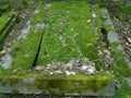 Spring on abandoned and ransacked Jewish Cemetery
