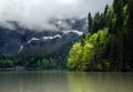 Ritsa mountain lake in Abkhazia in spring