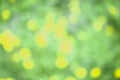 Spring abstract background, blurred sun light - bokeh. Green, yellow and white dots