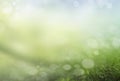 Spring abstract background bokeh. Green Royalty Free Stock Photo