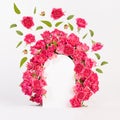Spring abstract stage - framing of arch of pink fresh spray roses mockup with levitation of buds and green leaves as flow on white