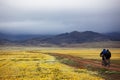 Spring adventure mountain bike competition Royalty Free Stock Photo