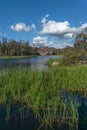 spring afternoon shot of dunns swamp, or ganguddy, a beautiful, serene waterway in wollemi national park