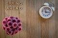 Spring Ahead Daylight Saving Time concept with Pink Chrysanthemums and clock on wood background flat lay Royalty Free Stock Photo