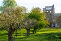 Spring in the air, seasonal blossom of fruit apple and cherry trees in orchard with ruins of old French abbey on back