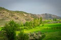 Spring in Alcarria. Guadalajara. Spain