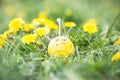 Spring Allergies - Sad ball in spring Royalty Free Stock Photo