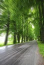 Spring alley road Royalty Free Stock Photo