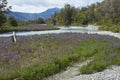 Spring along the Carretera Austral in northern Patagonia, Chile. Royalty Free Stock Photo
