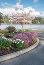 Spring Along Lake Washington 2 Royalty Free Stock Photo