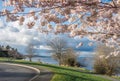 Spring Along Lake Washington Royalty Free Stock Photo