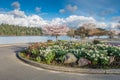 Spring Along Lake Washington 5 Royalty Free Stock Photo