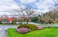 Spring Along Washington Lake Royalty Free Stock Photo